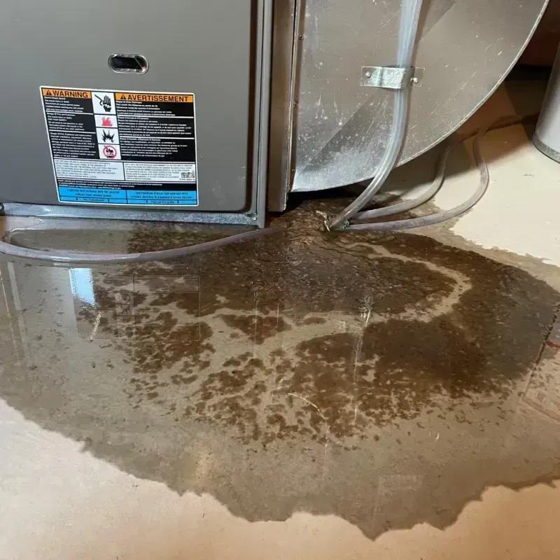 Appliance Leak Cleanup in Black Mountain, NC